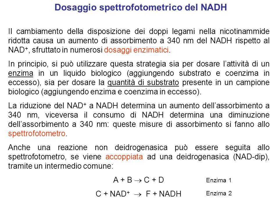 Dosaggio spettrofotometrico del NADH