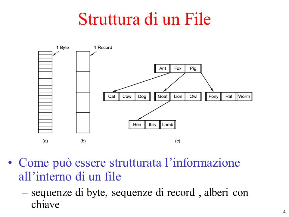 Struttura di un File Come può essere strutturata l’informazione all’interno di un file.