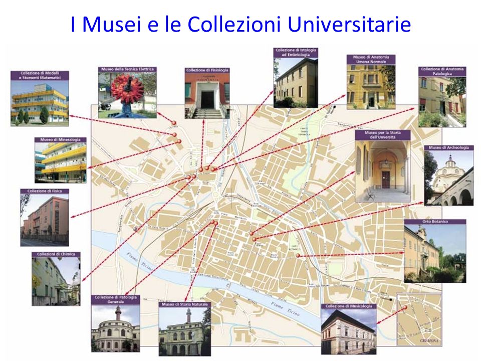 I Musei e le Collezioni Universitarie
