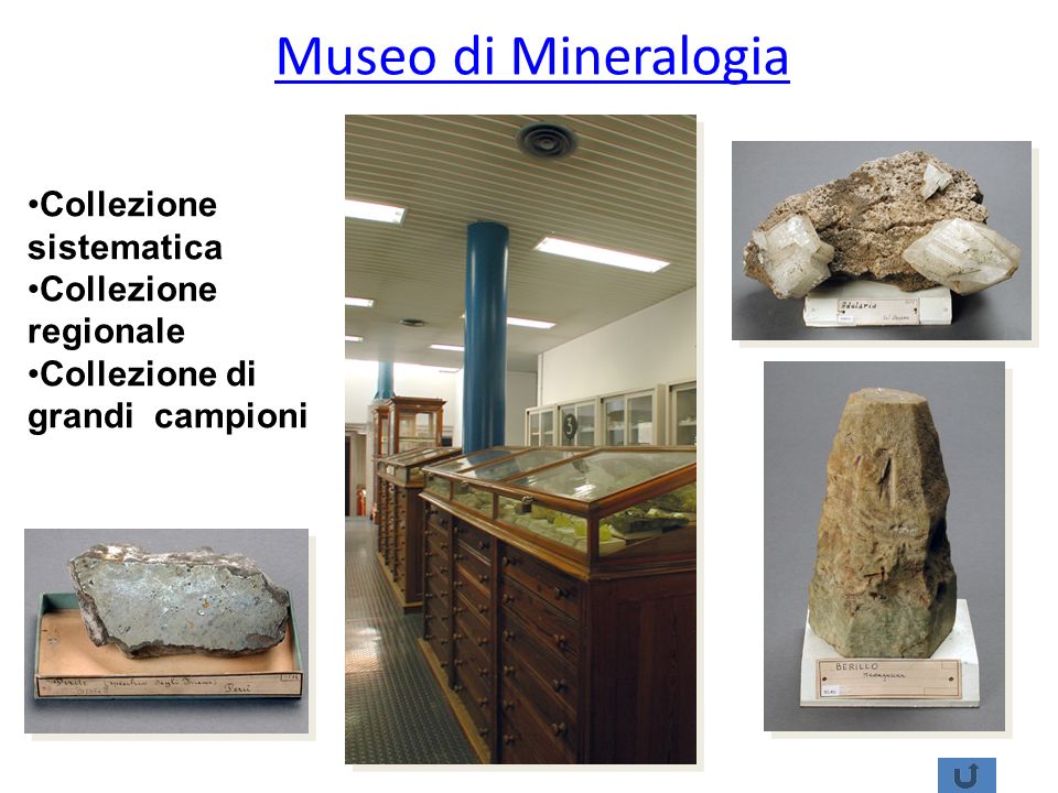 Museo di Mineralogia Collezione sistematica Collezione regionale