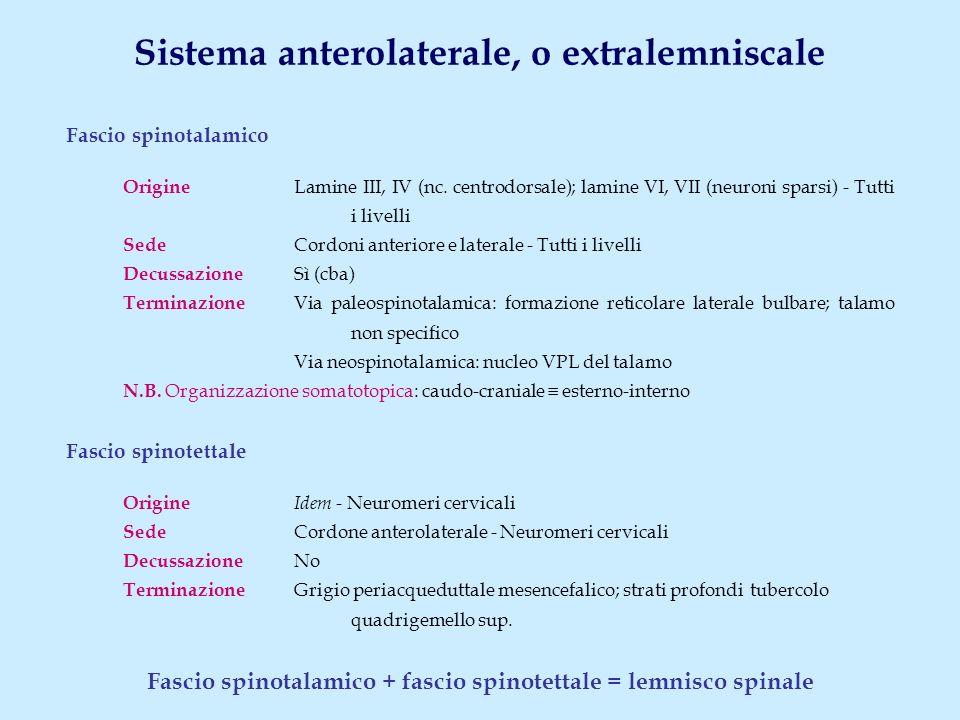 Sistema anterolaterale, o extralemniscale