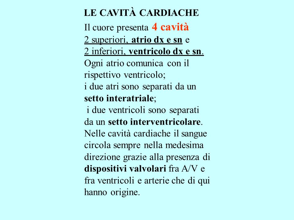 LE CAVITÀ CARDIACHE Il cuore presenta 4 cavità. 2 superiori, atrio dx e sn e. 2 inferiori, ventricolo dx e sn.