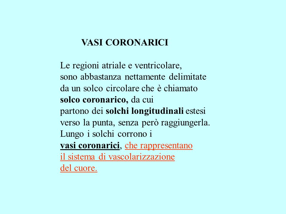 VASI CORONARICI Le regioni atriale e ventricolare, sono abbastanza nettamente delimitate. da un solco circolare che è chiamato.