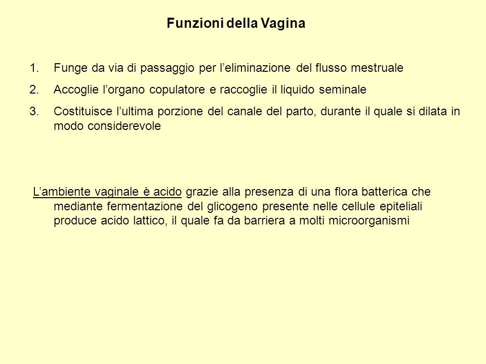 Funzioni della Vagina Funge da via di passaggio per l’eliminazione del flusso mestruale.