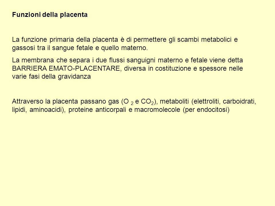 Funzioni della placenta