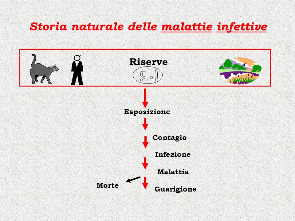 Storia naturale delle malattie infettive