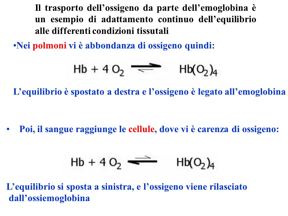Il trasporto dell’ossigeno da parte dell’emoglobina è un esempio di adattamento continuo dell’equilibrio alle differenti condizioni tissutali