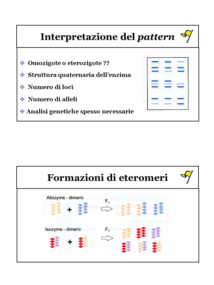 Interpretazione del pattern Formazioni di eteromeri
