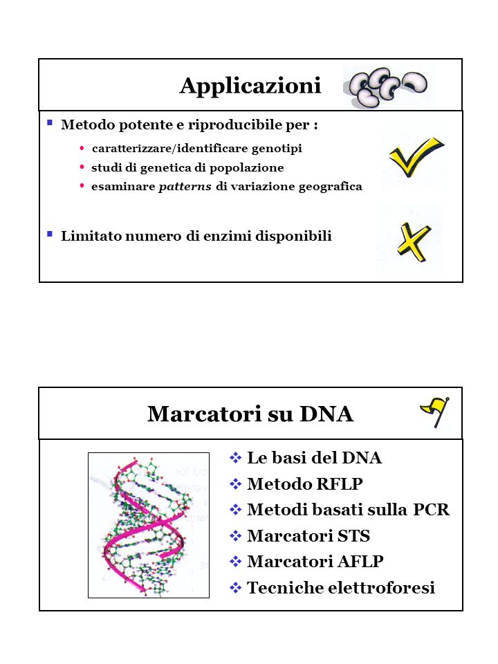 Applicazioni Marcatori su DNA