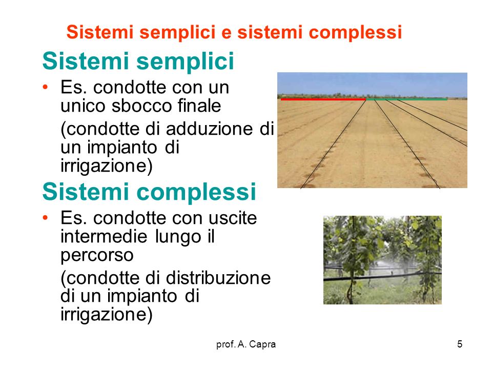 Sistemi semplici e sistemi complessi