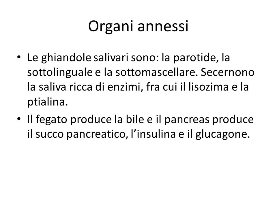 Organi annessi