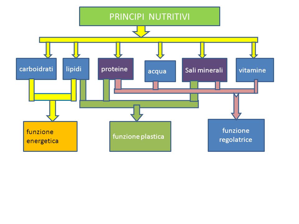 PRINCIPI NUTRITIVI carboidrati lipidi proteine Sali minerali vitamine