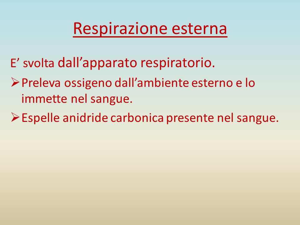 Respirazione esterna E’ svolta dall’apparato respiratorio.