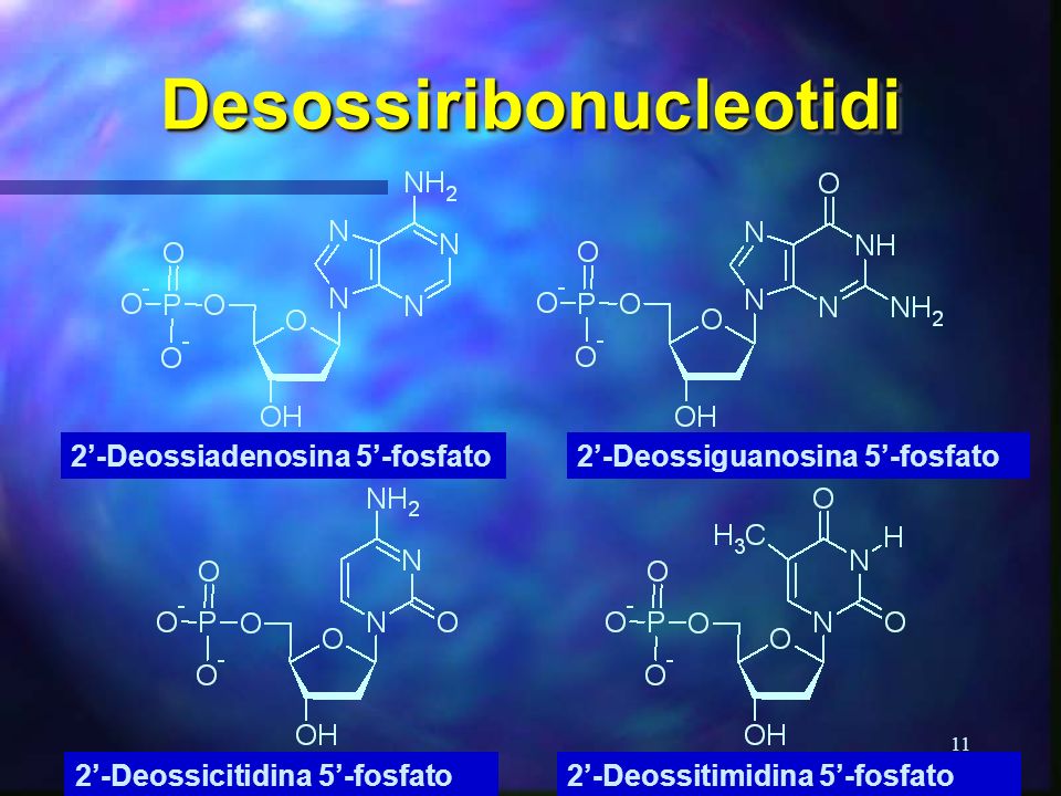 Desossiribonucleotidi
