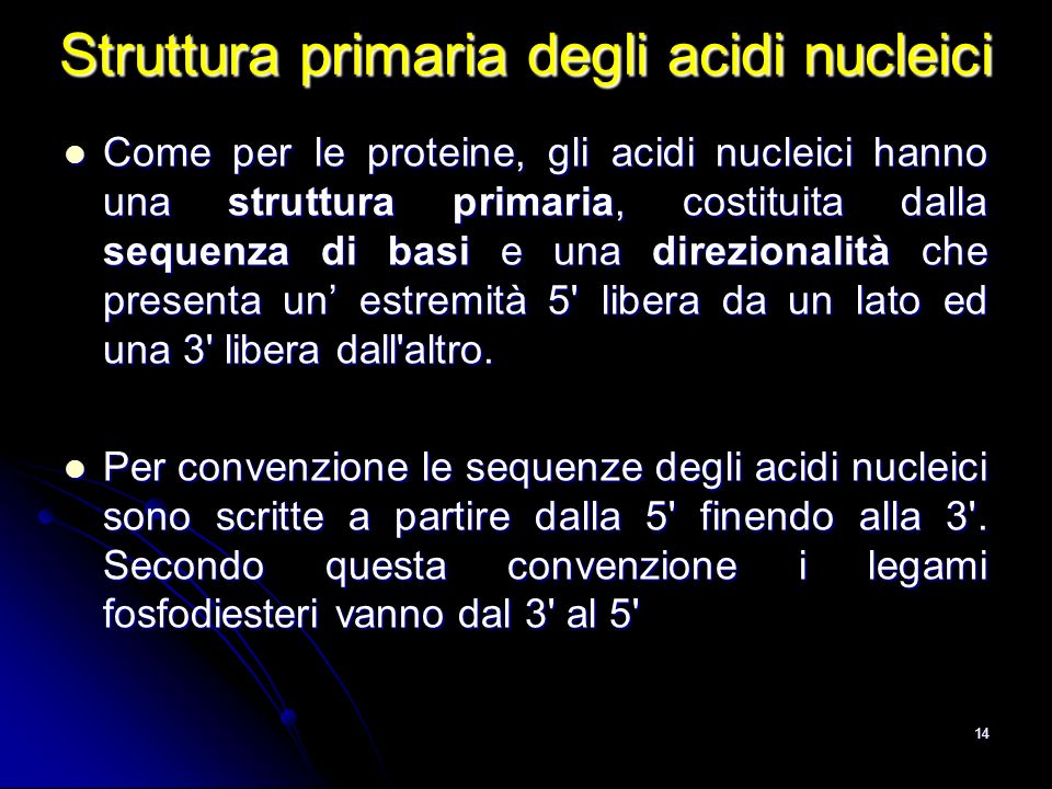 Struttura primaria degli acidi nucleici