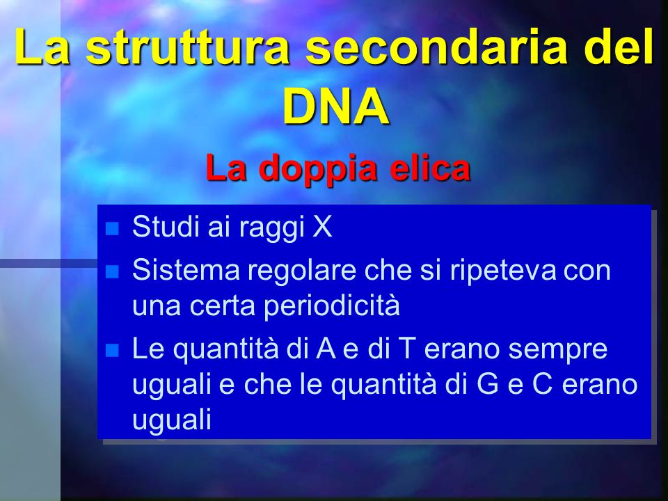 La struttura secondaria del DNA