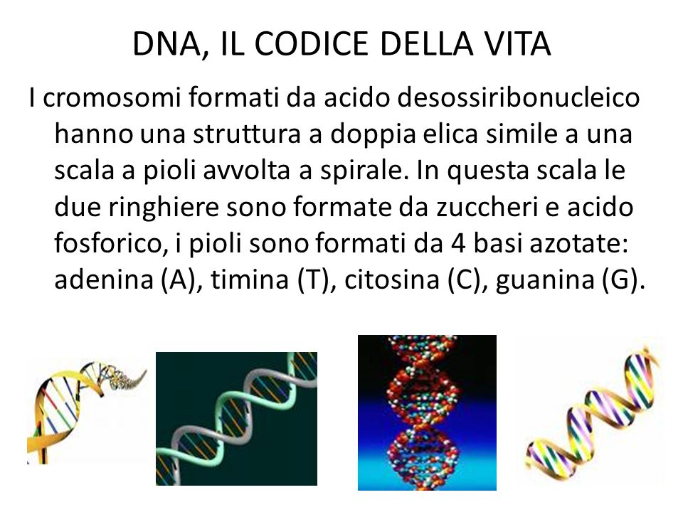 DNA, IL CODICE DELLA VITA