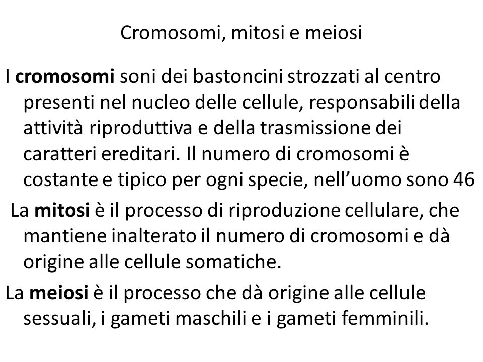 Cromosomi, mitosi e meiosi