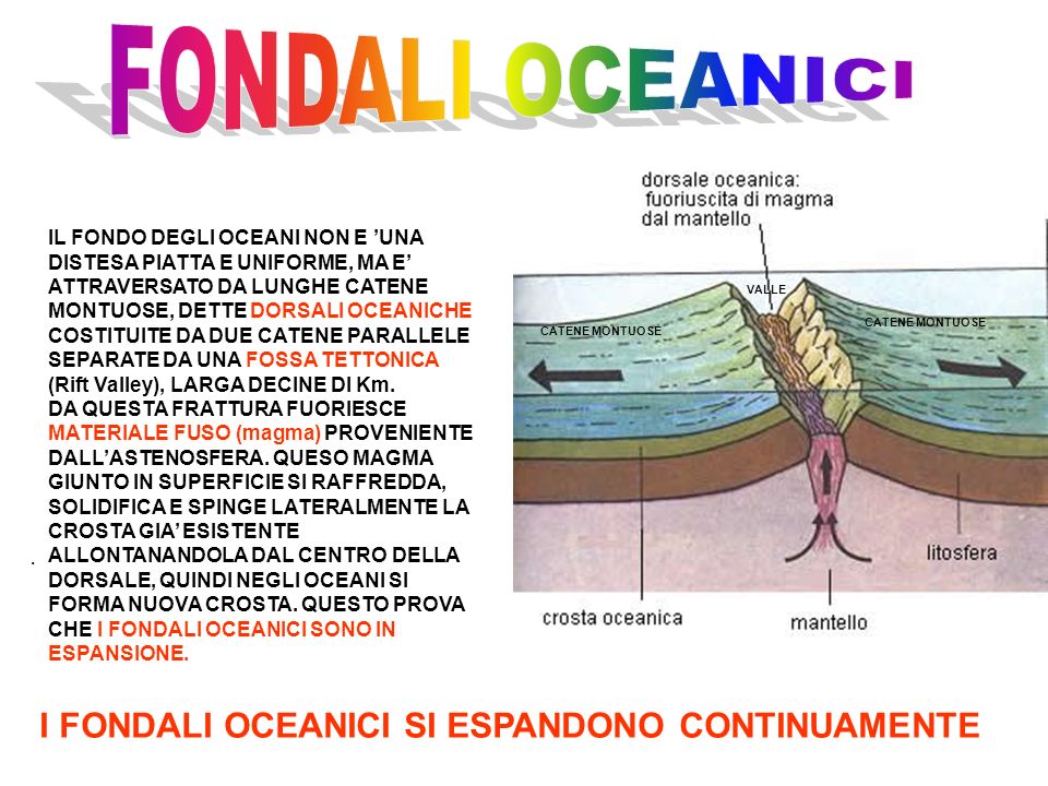 FONDALI OCEANICI I FONDALI OCEANICI SI ESPANDONO CONTINUAMENTE