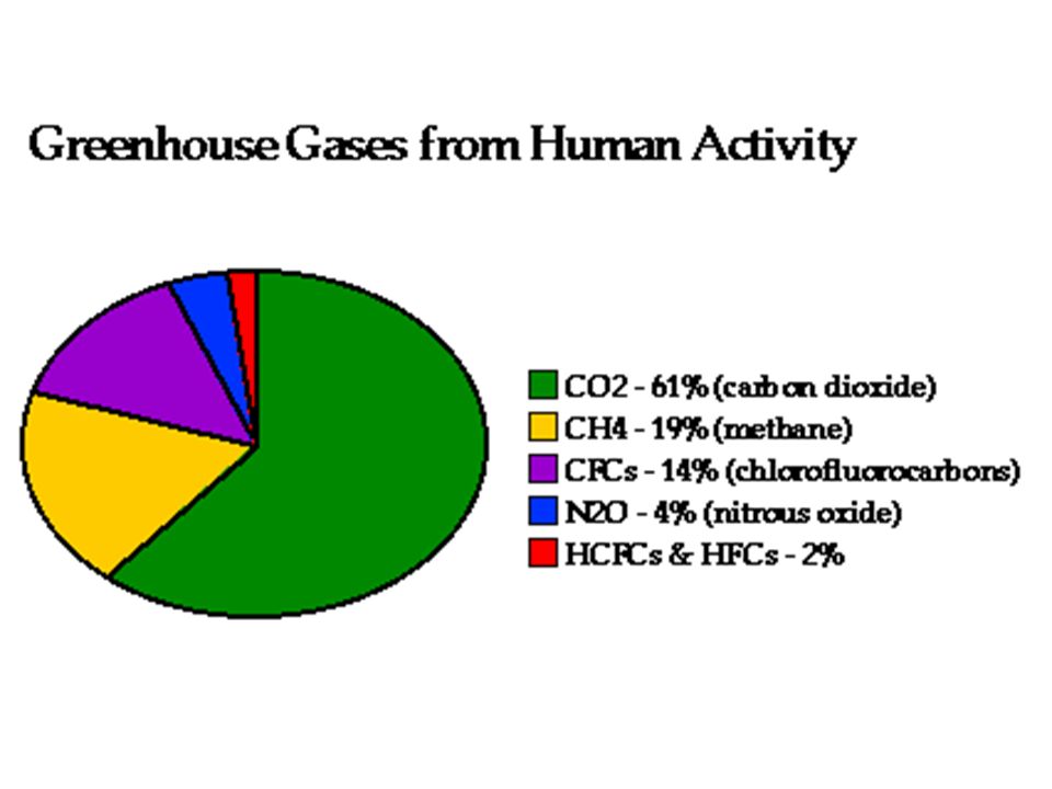 I principali gas che provocano l’effetto serra sono l’anidride carbonica, il metano, i clorofluorocarbur ie gli ossidi di azoto.