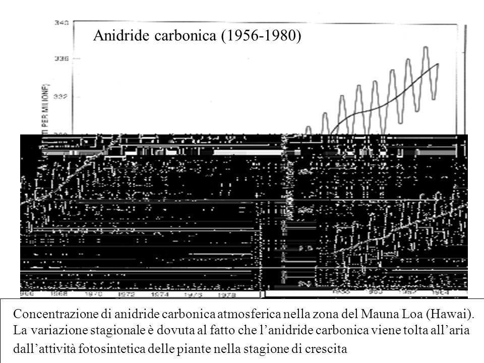 Anidride carbonica ( )