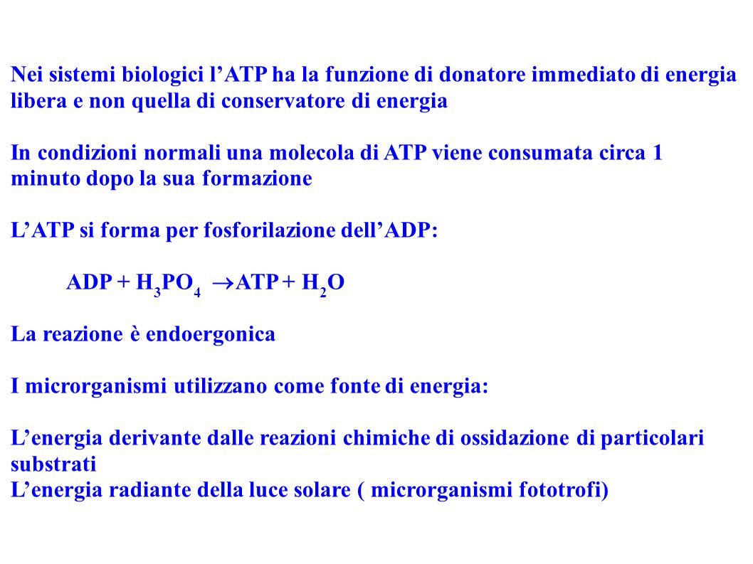 Nei sistemi biologici l’ATP ha la funzione di donatore immediato di energia libera e non quella di conservatore di energia