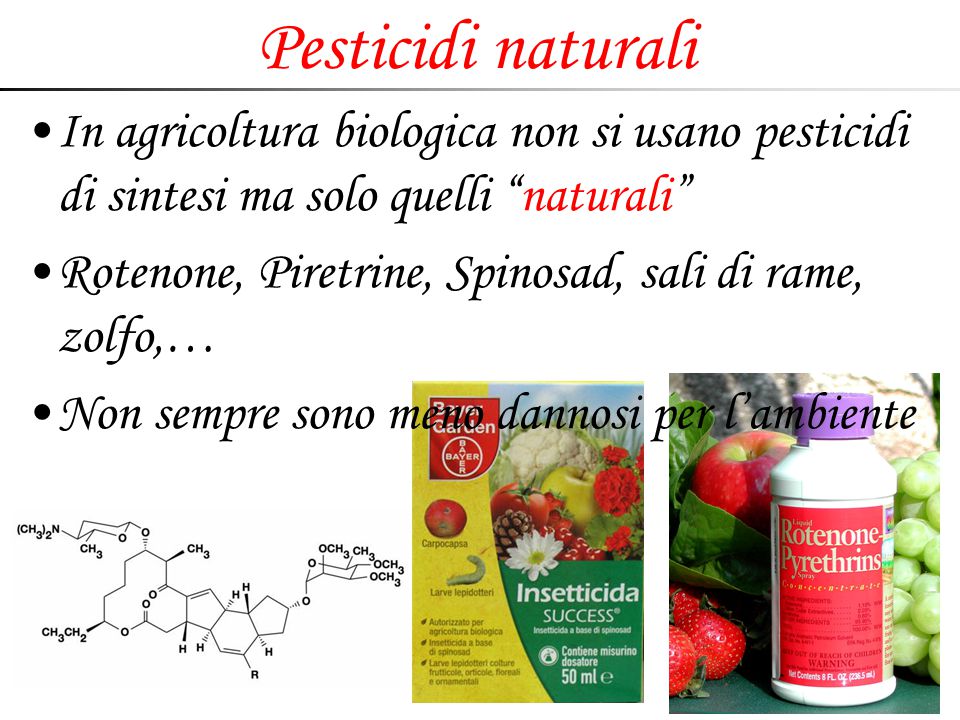 Pesticidi naturali In agricoltura biologica non si usano pesticidi di sintesi ma solo quelli naturali