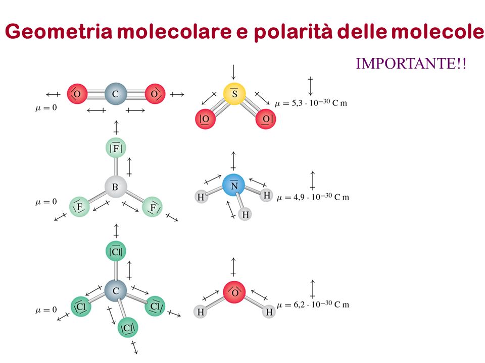 Geometria molecolare e polarità delle molecole