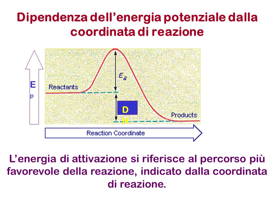 Dipendenza dell’energia potenziale dalla coordinata di reazione