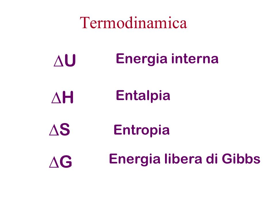 Termodinamica DU DH DS DG Energia interna Entalpia Entropia