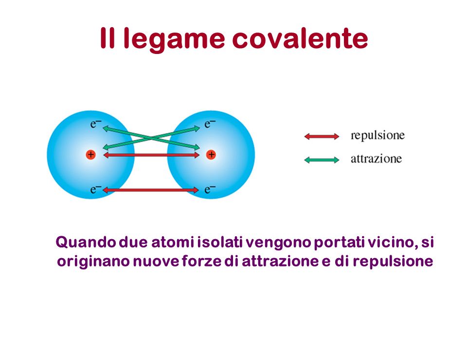 Il legame covalente Quando due atomi isolati vengono portati vicino, si originano nuove forze di attrazione e di repulsione.