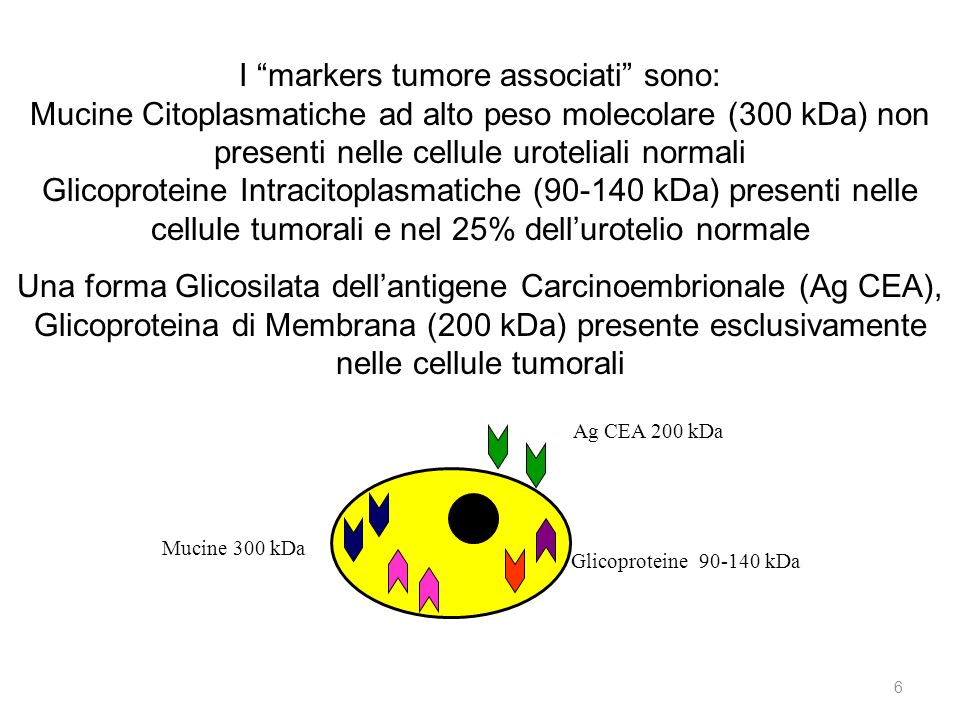 I markers tumore associati sono: Mucine Citoplasmatiche ad alto peso molecolare (300 kDa) non presenti nelle cellule uroteliali normali Glicoproteine Intracitoplasmatiche ( kDa) presenti nelle cellule tumorali e nel 25% dell’urotelio normale