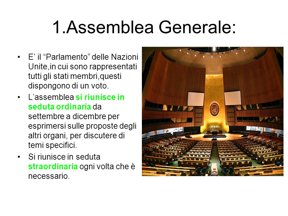 1.Assemblea Generale: E’ il Parlamento delle Nazioni Unite,in cui sono rappresentati tutti gli stati membri,questi dispongono di un voto.