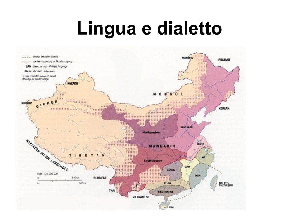 Lingua e dialetto