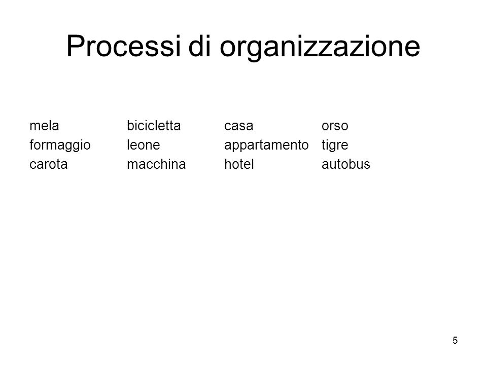 Processi di organizzazione