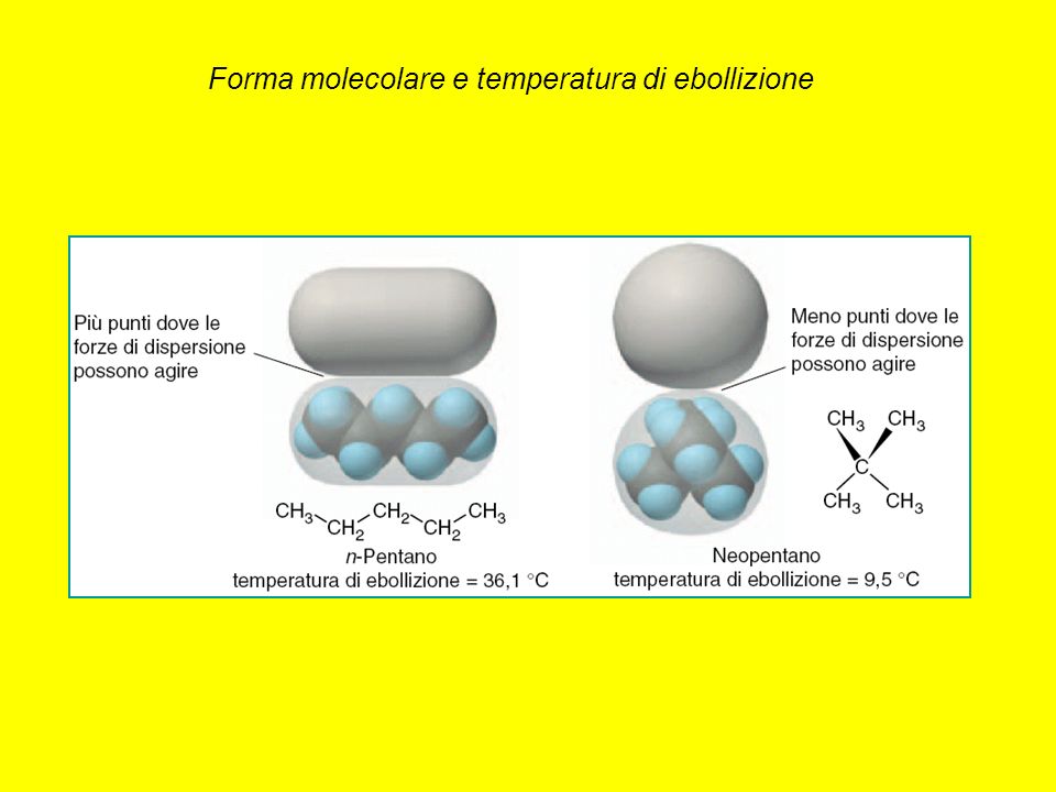 Forma molecolare e temperatura di ebollizione