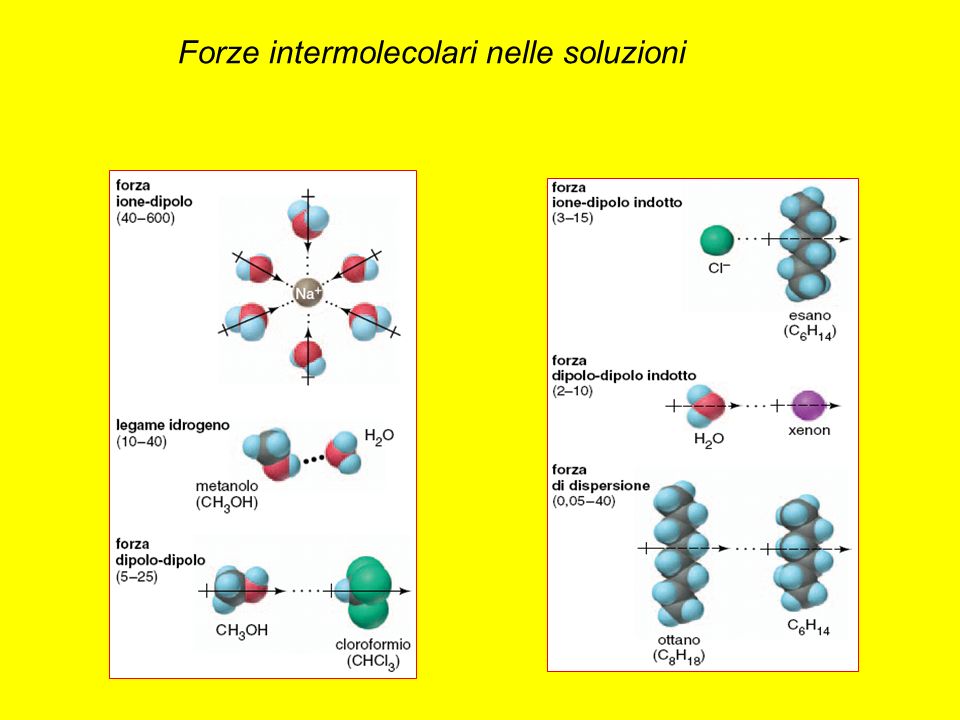 Forze intermolecolari nelle soluzioni