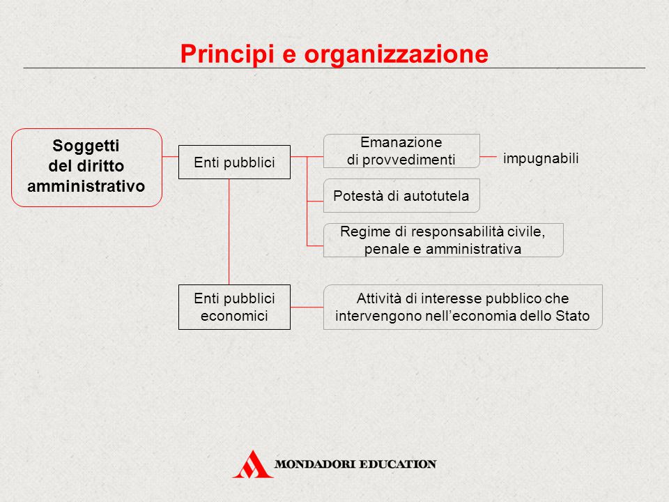 Principi e organizzazione del diritto amministrativo
