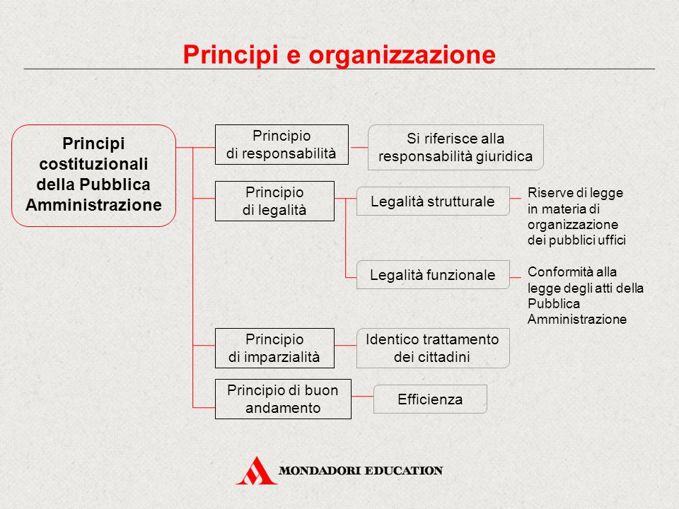 Principi e organizzazione