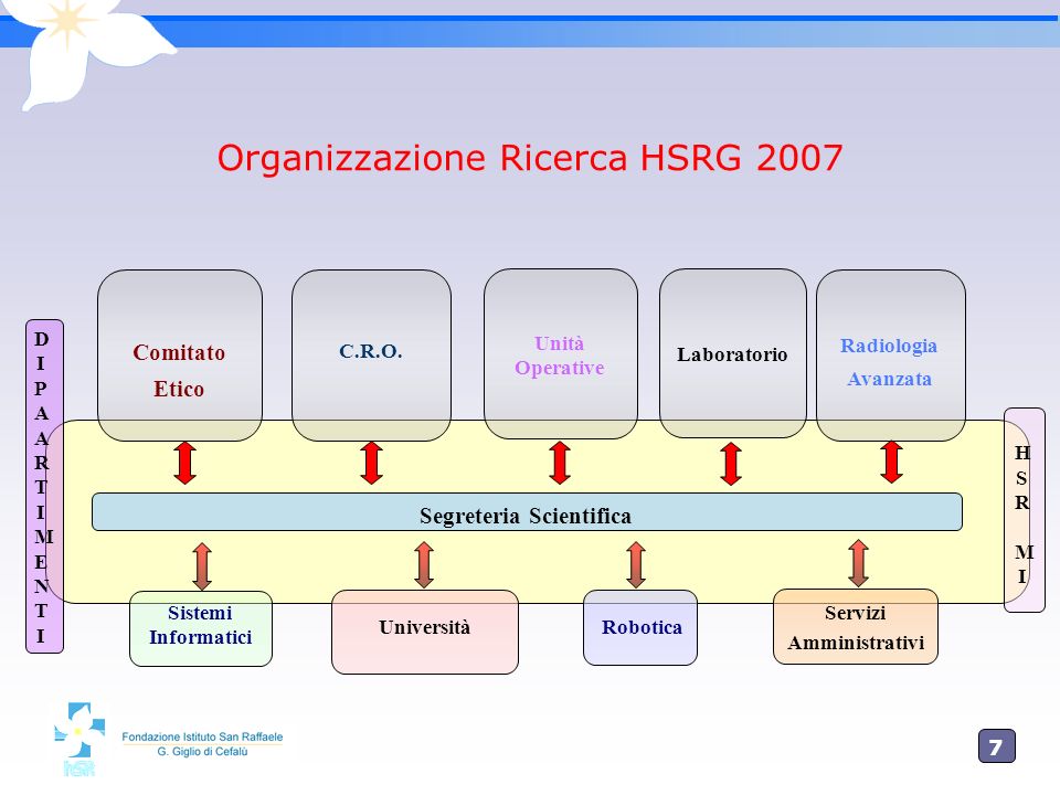 Organizzazione Ricerca HSRG 2007