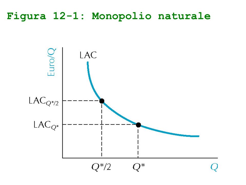 Figura 12-1: Monopolio naturale