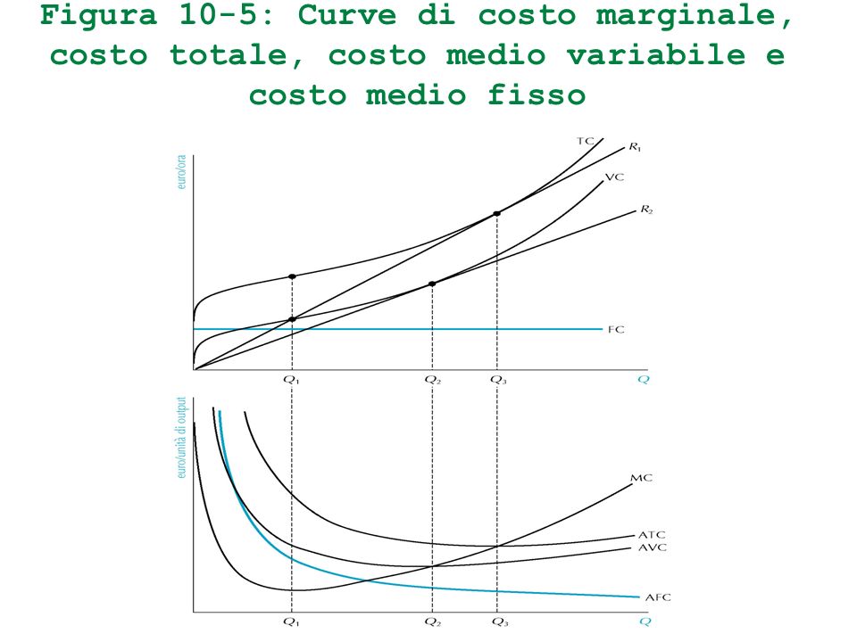 Figura 10-5: Curve di costo marginale, costo totale, costo medio variabile e costo medio fisso