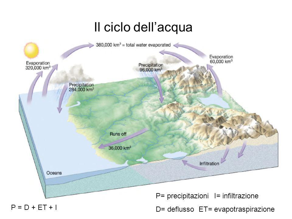 Il ciclo dell’acqua P= precipitazioni I= infiltrazione