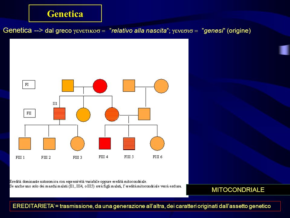Genetica Genetica --> dal greco  relativo alla nascita  genesi (origine)