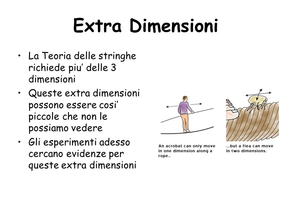 Extra Dimensioni La Teoria delle stringhe richiede piu’ delle 3 dimensioni.