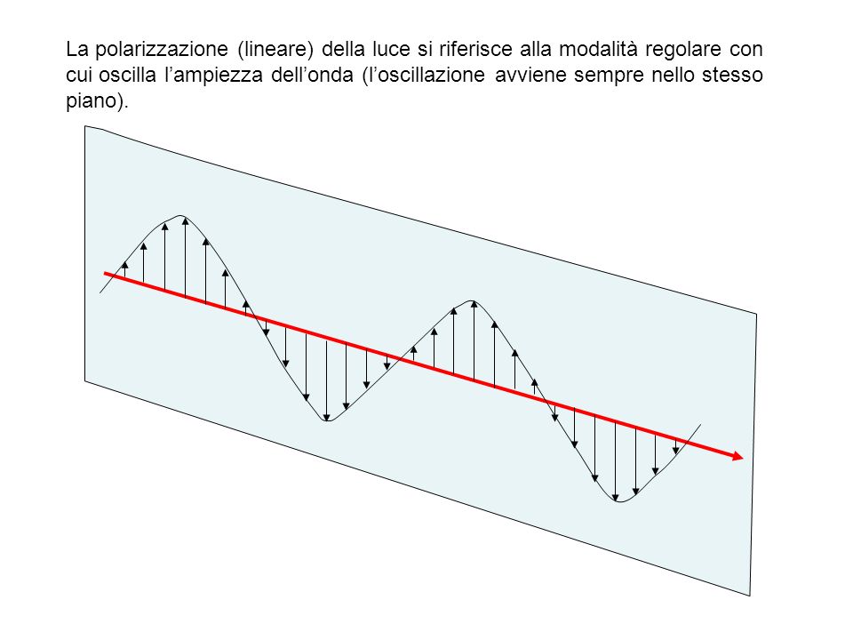 La polarizzazione (lineare) della luce si riferisce alla modalità regolare con cui oscilla l’ampiezza dell’onda (l’oscillazione avviene sempre nello stesso piano).