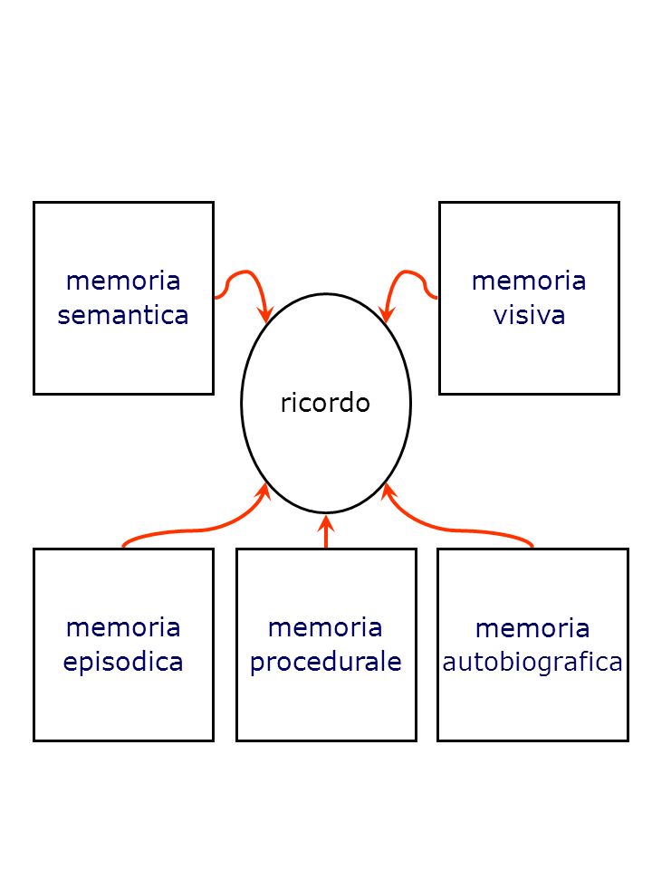 memoria semantica memoria visiva ricordo memoria episodica memoria