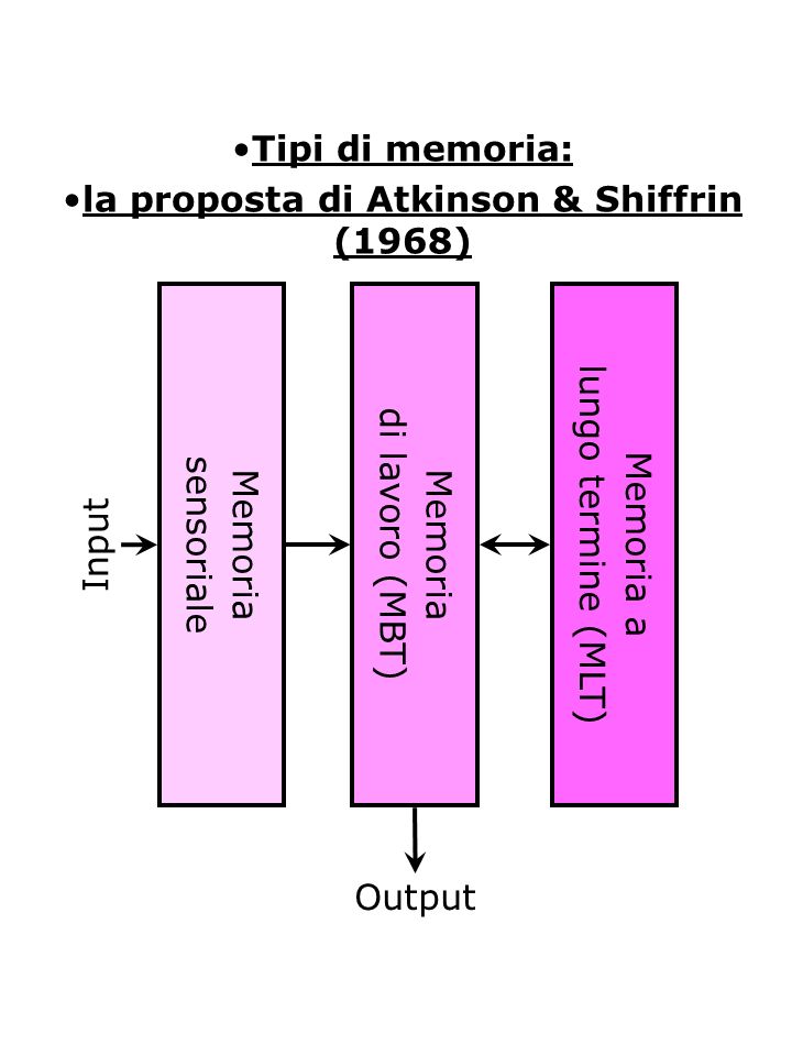 la proposta di Atkinson & Shiffrin (1968)