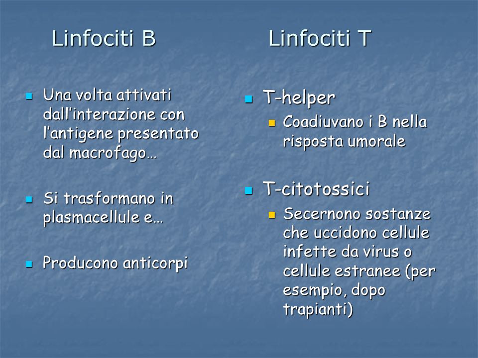 Linfociti B Linfociti T