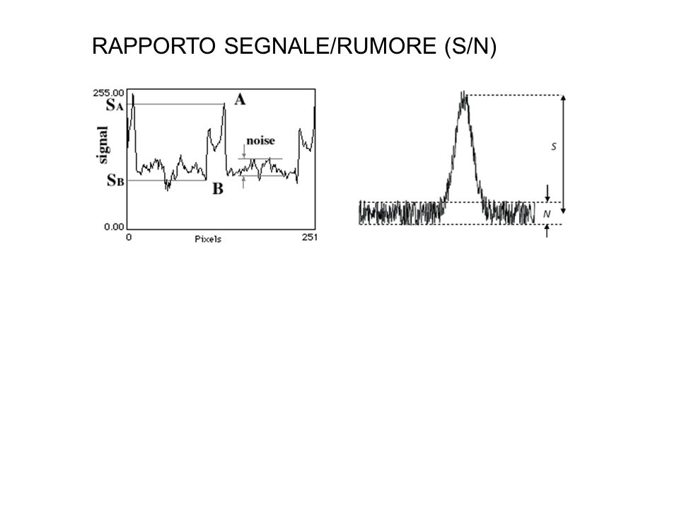 RAPPORTO SEGNALE/RUMORE (S/N)